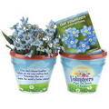 Flower Planter Gift Set